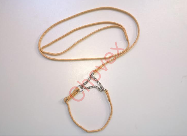  výstavné vodítko  s retiazkou 4mm  30 / 120cm  béžové