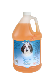 Bio Groom  Fresh šampon 3.78l